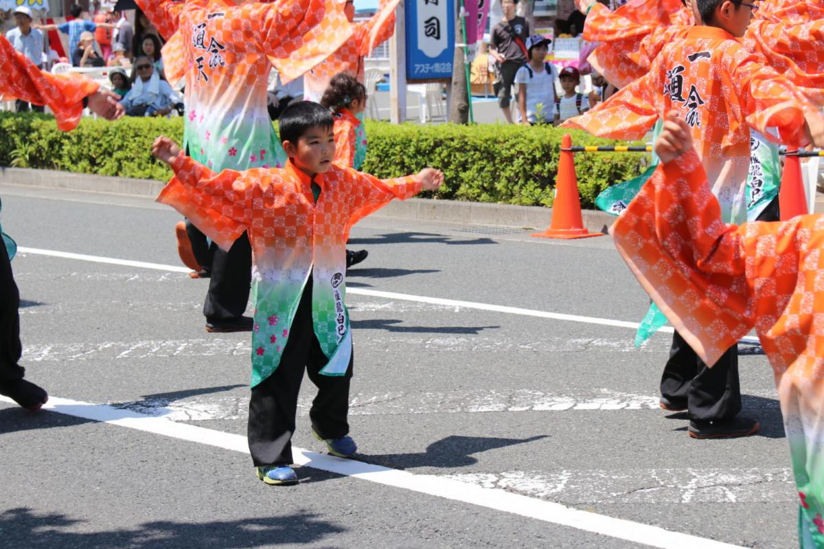 奥州前沢よさこいFesta13その3（奥州前沢よさこいフェスタ2017) 2017/07/09