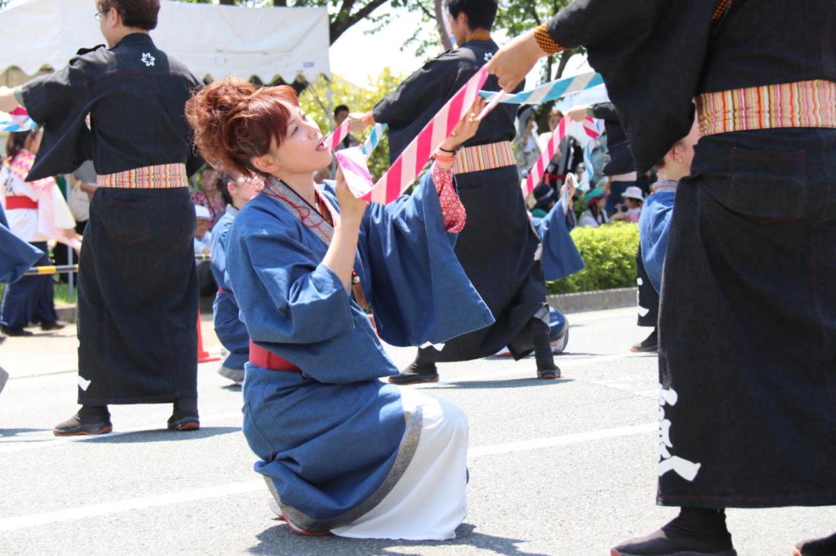 奥州前沢よさこいFesta13その3（奥州前沢よさこいフェスタ2017) 2017/07/09