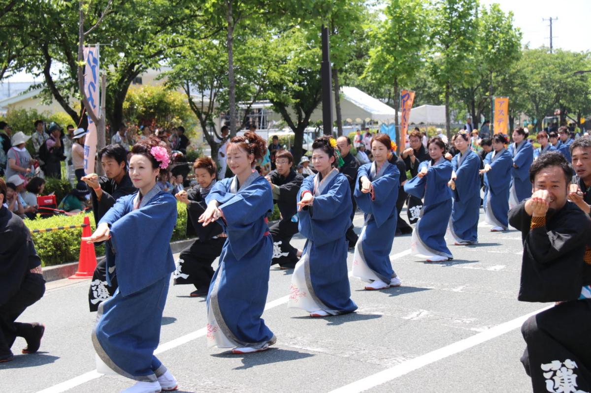 奥州前沢よさこいFesta13その3（奥州前沢よさこいフェスタ2017) 2017/07/09