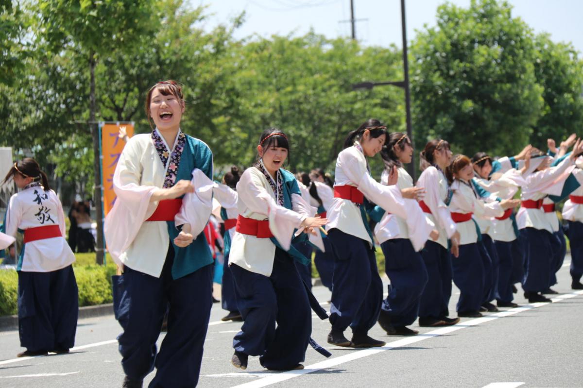 奥州前沢よさこいFesta13その3（奥州前沢よさこいフェスタ2017) 2017/07/09
