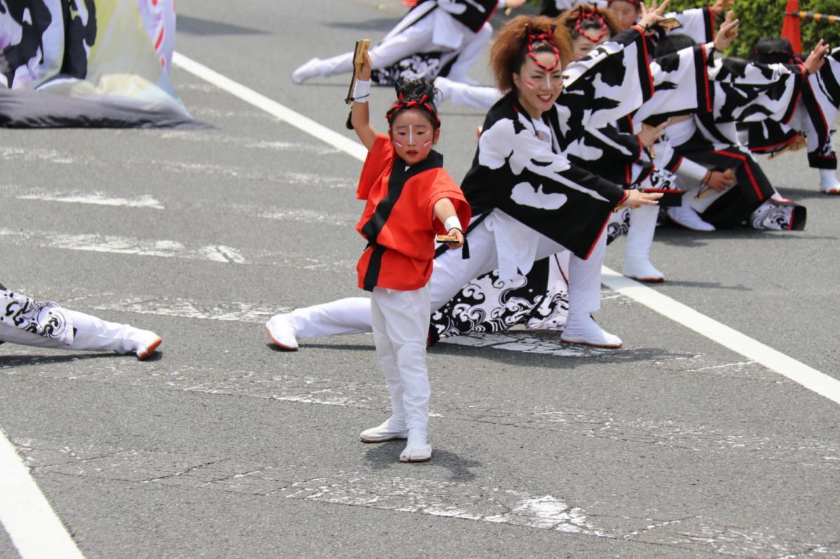 奥州前沢よさこいFesta13その3（奥州前沢よさこいフェスタ2017) 2017/07/09