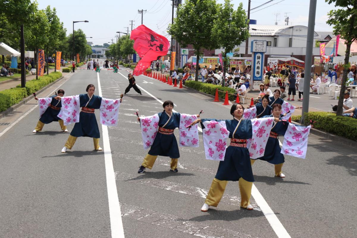 奥州前沢よさこいFesta13その3（奥州前沢よさこいフェスタ2017) 2017/07/09