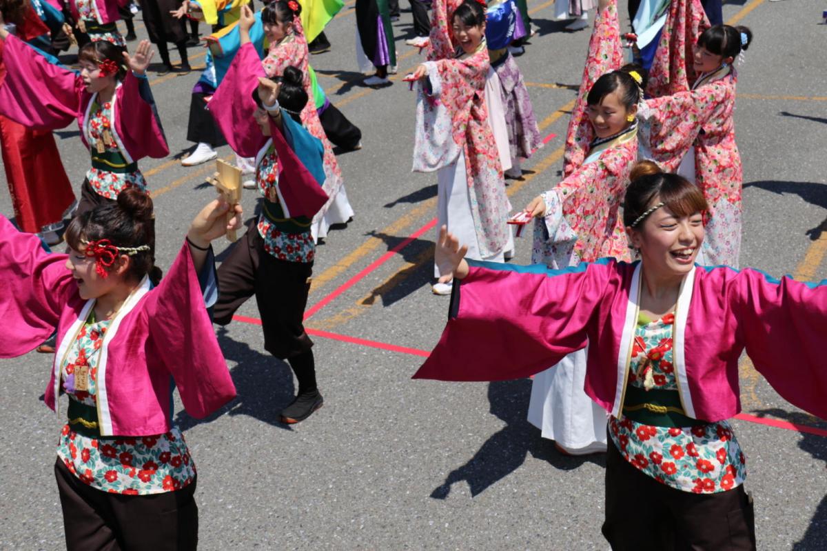 奥州前沢よさこいFesta13その4（奥州前沢よさこいフェスタ2017) 2017/07/09