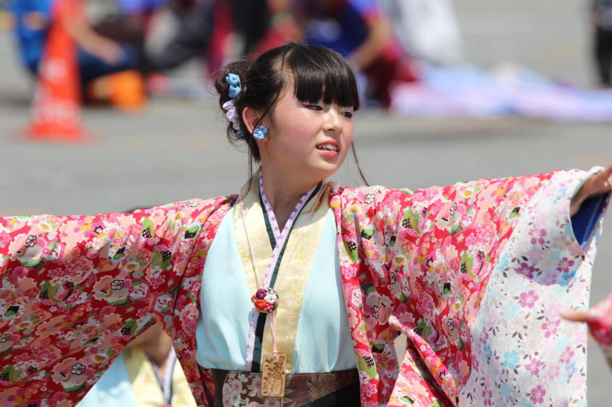 奥州前沢よさこいFesta13その4（奥州前沢よさこいフェスタ2017) 2017/07/09