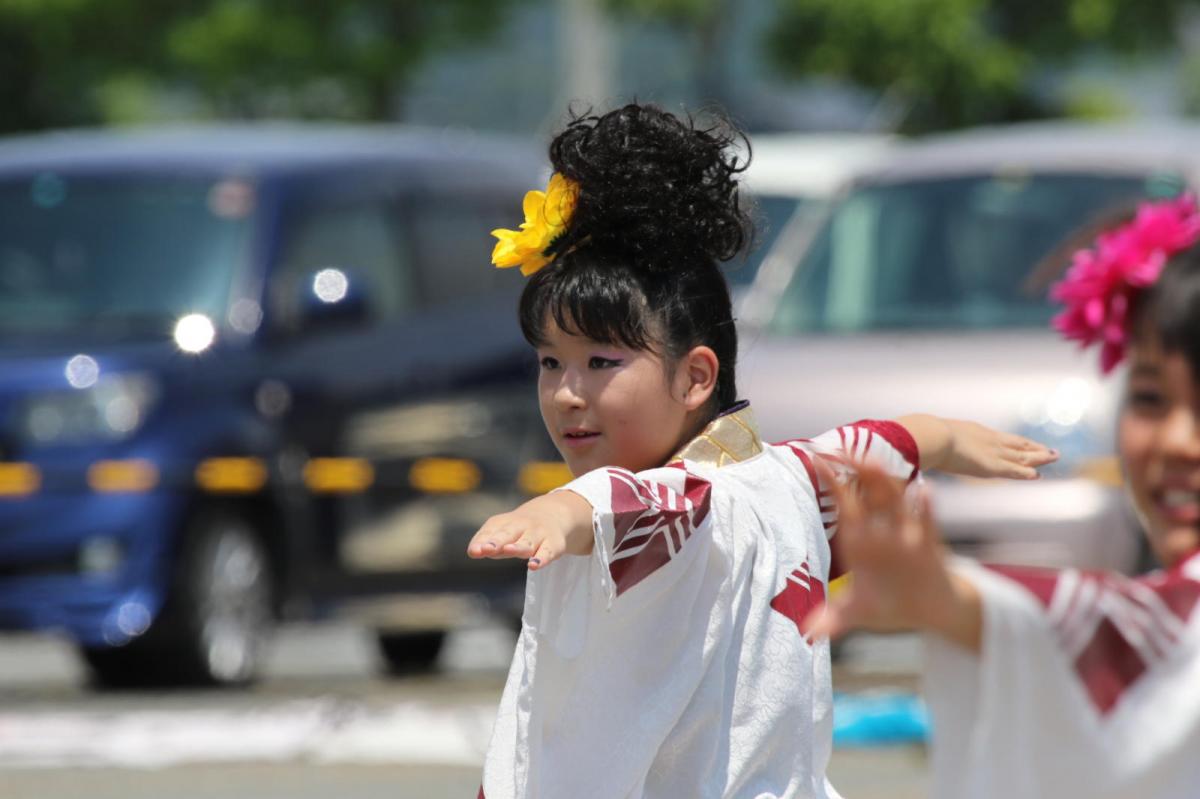 奥州前沢よさこいFesta13その4（奥州前沢よさこいフェスタ2017) 2017/07/09