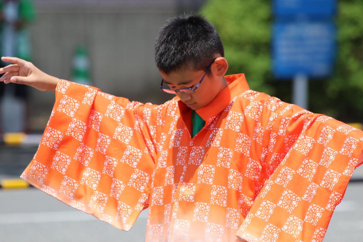 奥州前沢よさこいFesta13その4（奥州前沢よさこいフェスタ2017) 2017/07/09