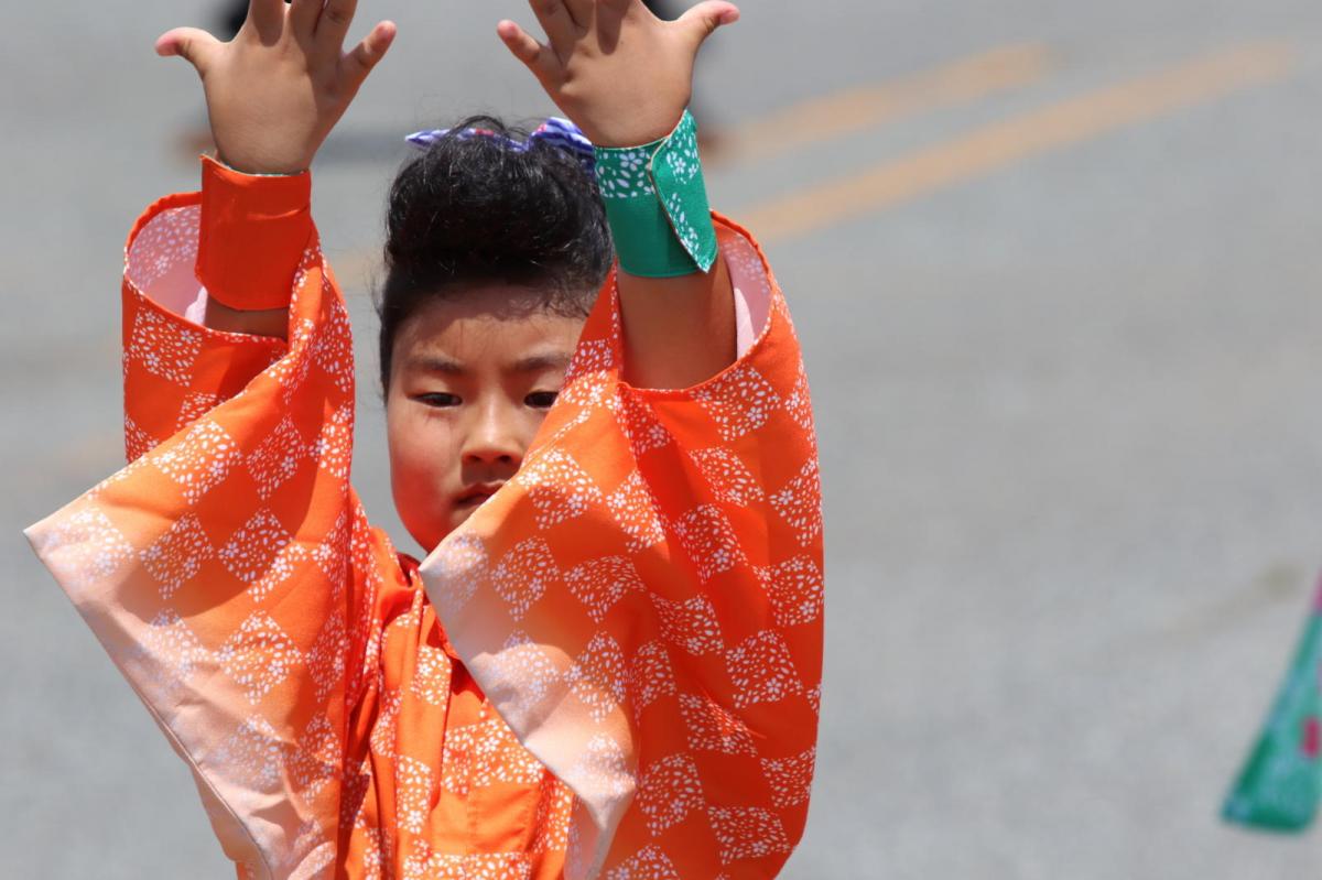 奥州前沢よさこいFesta13その4（奥州前沢よさこいフェスタ2017) 2017/07/09