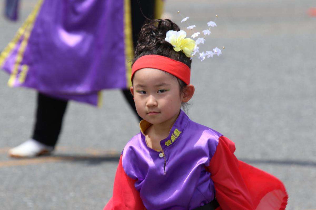 奥州前沢よさこいFesta13その4（奥州前沢よさこいフェスタ2017) 2017/07/09