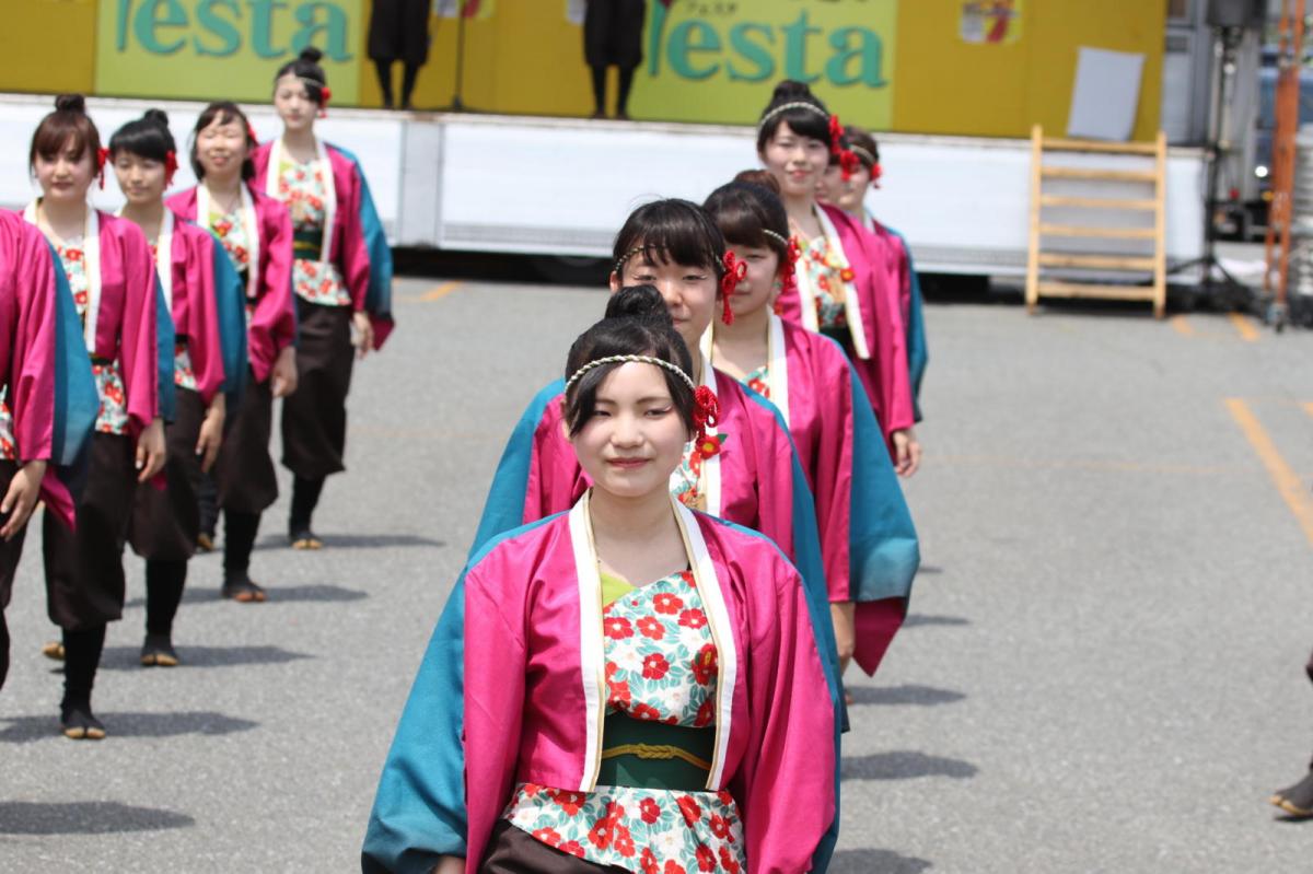 奥州前沢よさこいFesta13その4（奥州前沢よさこいフェスタ2017) 2017/07/09