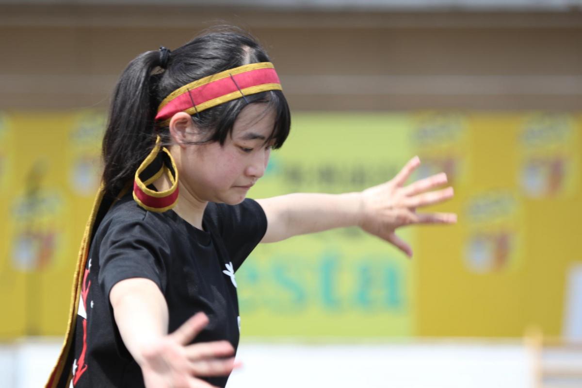 奥州前沢よさこいFesta13その4（奥州前沢よさこいフェスタ2017) 2017/07/09