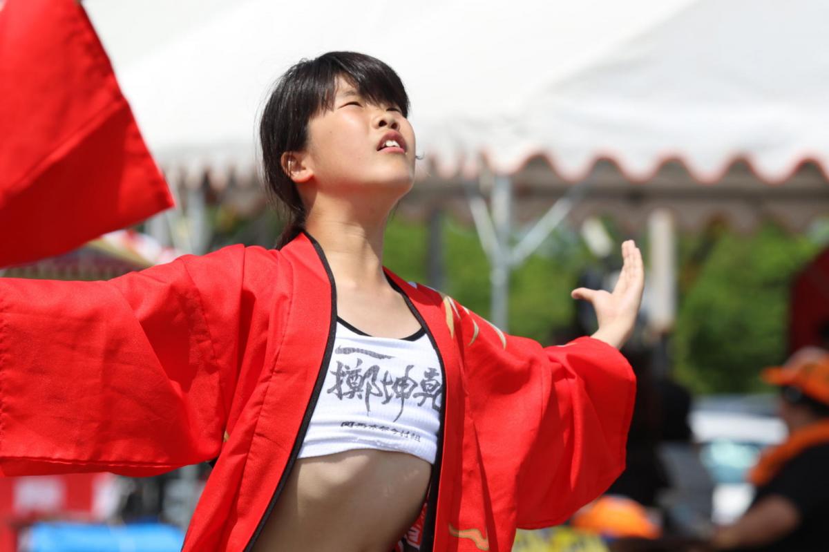 奥州前沢よさこいFesta13その4（奥州前沢よさこいフェスタ2017) 2017/07/09