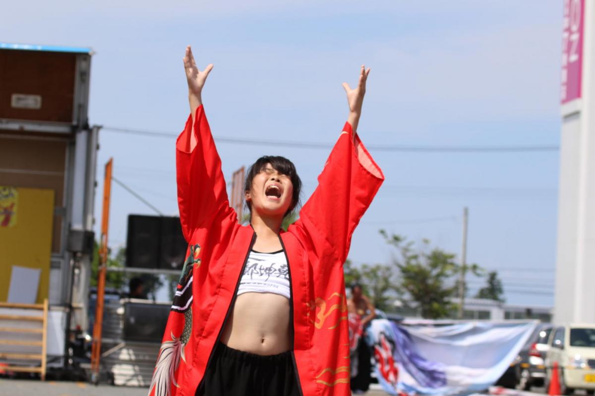 奥州前沢よさこいFesta13その4（奥州前沢よさこいフェスタ2017) 2017/07/09