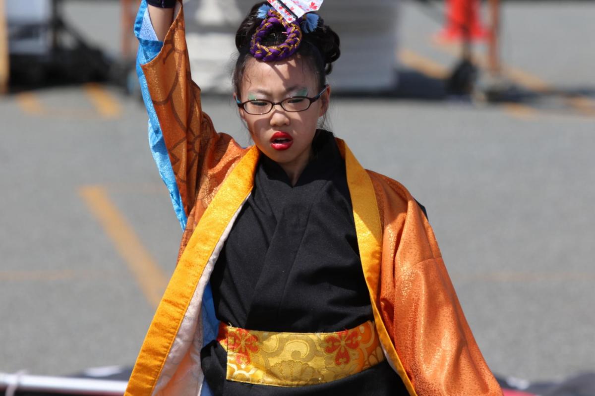 奥州前沢よさこいFesta13その4（奥州前沢よさこいフェスタ2017) 2017/07/09