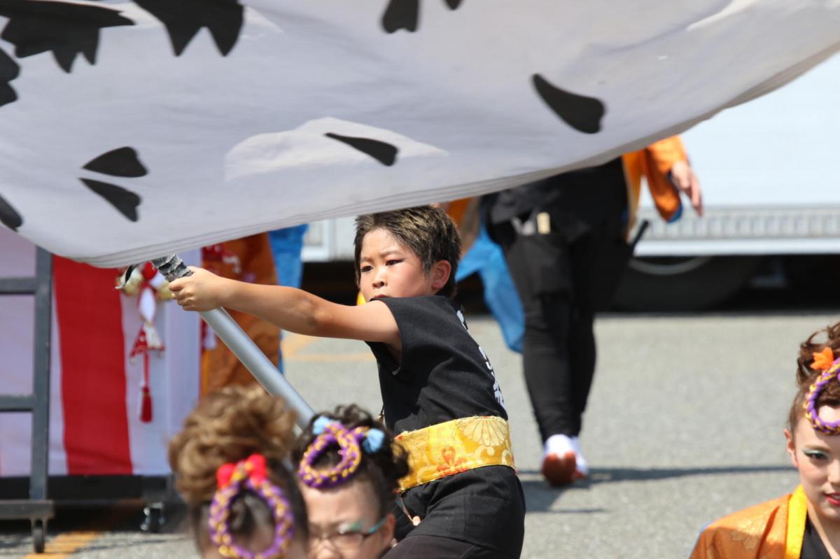 奥州前沢よさこいFesta13その4（奥州前沢よさこいフェスタ2017) 2017/07/09