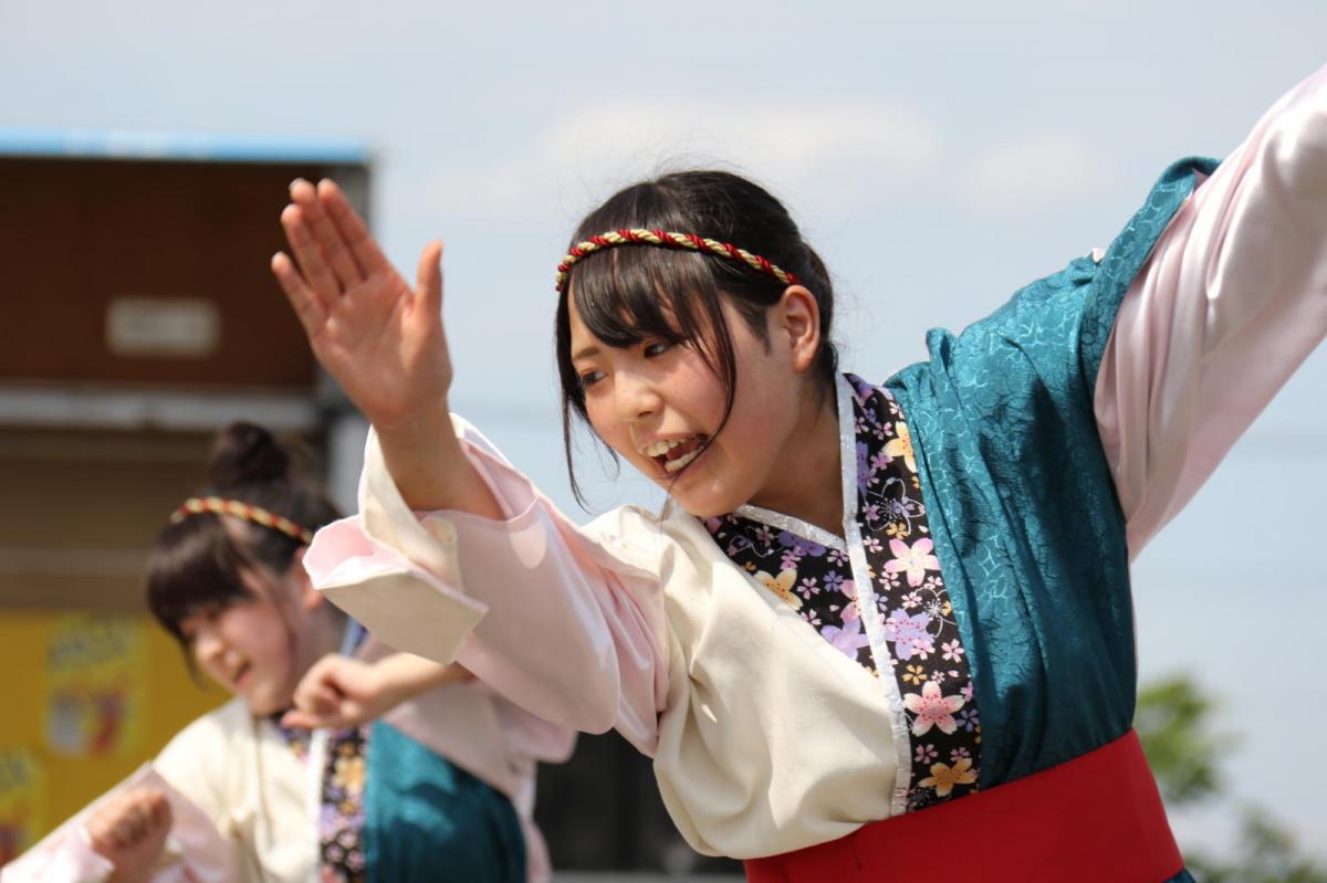 奥州前沢よさこいFesta13その4（奥州前沢よさこいフェスタ2017) 2017/07/09