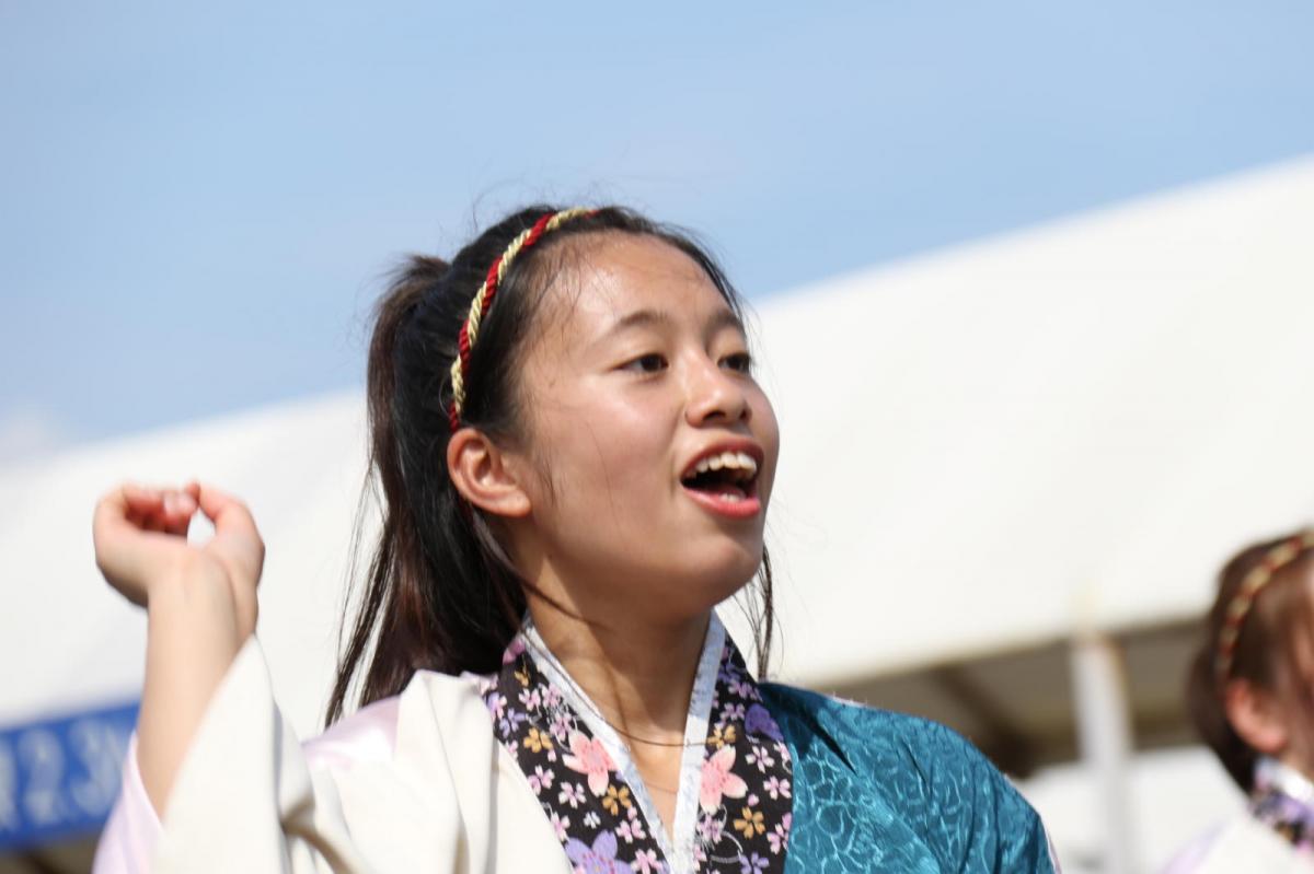 奥州前沢よさこいFesta13その4（奥州前沢よさこいフェスタ2017) 2017/07/09