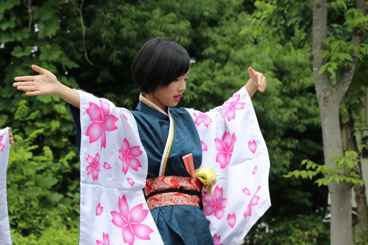 奥州前沢よさこいFesta14その2（奥州前沢よさこいフェスタ2018) 2018/07/08