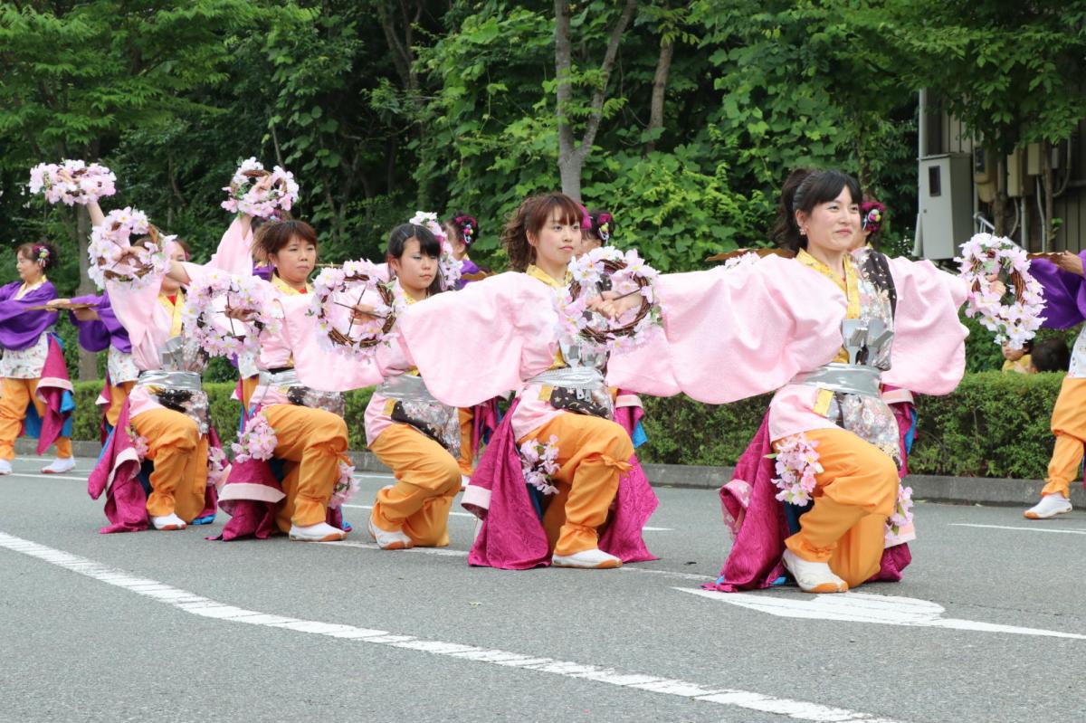 奥州前沢よさこいFesta14その2（奥州前沢よさこいフェスタ2018) 2018/07/08