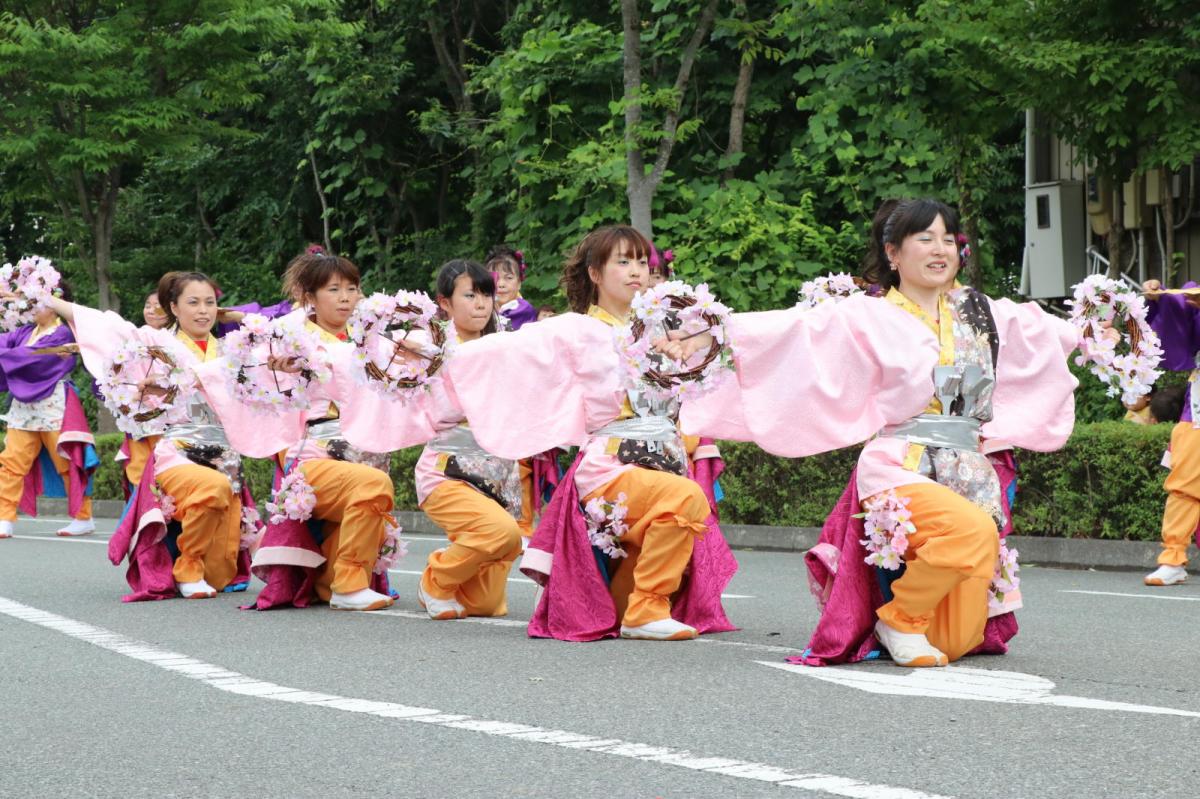 奥州前沢よさこいFesta14その2（奥州前沢よさこいフェスタ2018) 2018/07/08