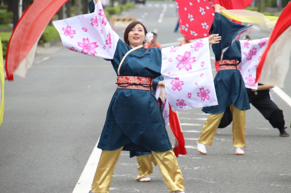 奥州前沢よさこいFesta14その3（奥州前沢よさこいフェスタ2018) 2018/07/08