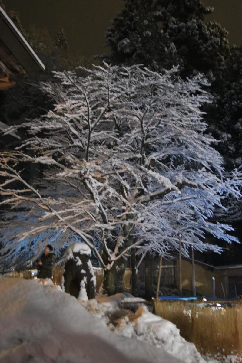 奥州・黒石寺「蘇民祭」(そみんさい)2019その1 2019/02/21