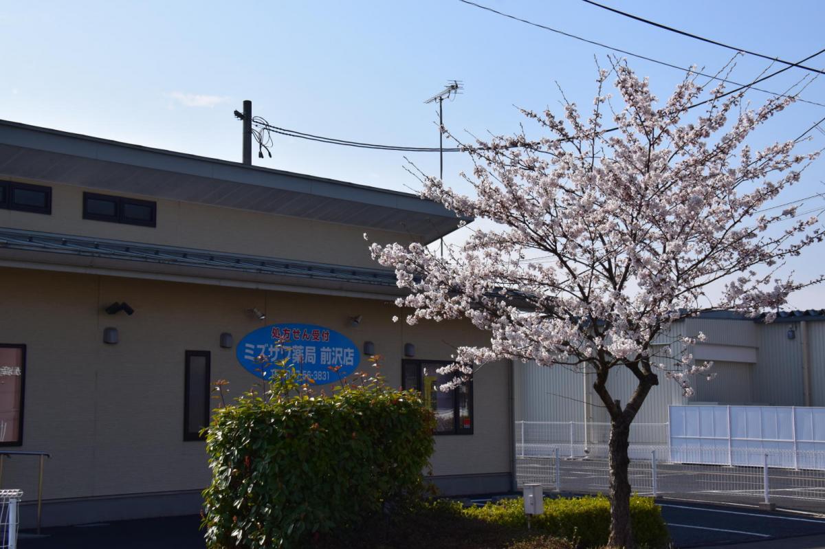 奥州市前沢アスティ商店会さくらのライトアップ 2019/04/19