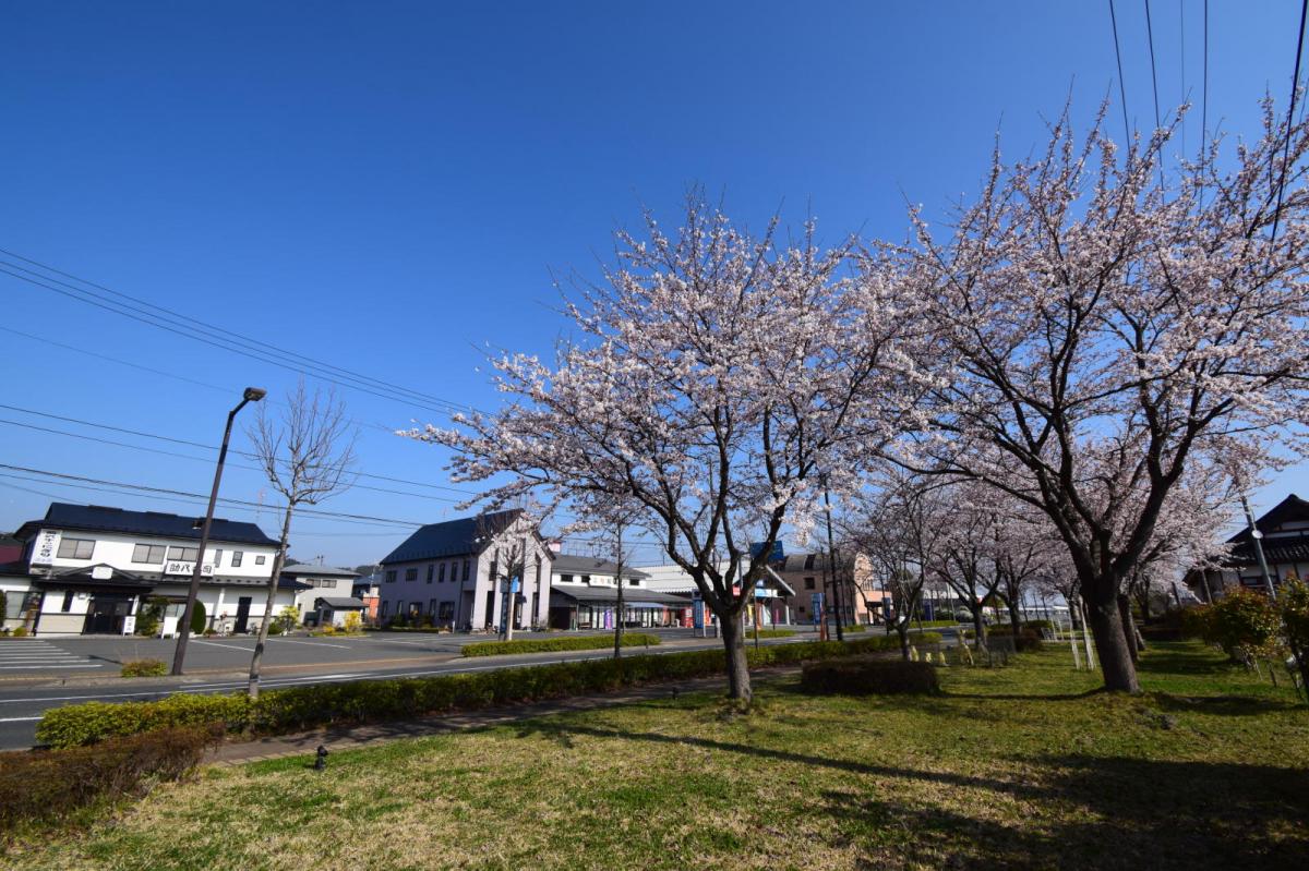 奥州市前沢アスティ商店会さくらのライトアップ 2019/04/19