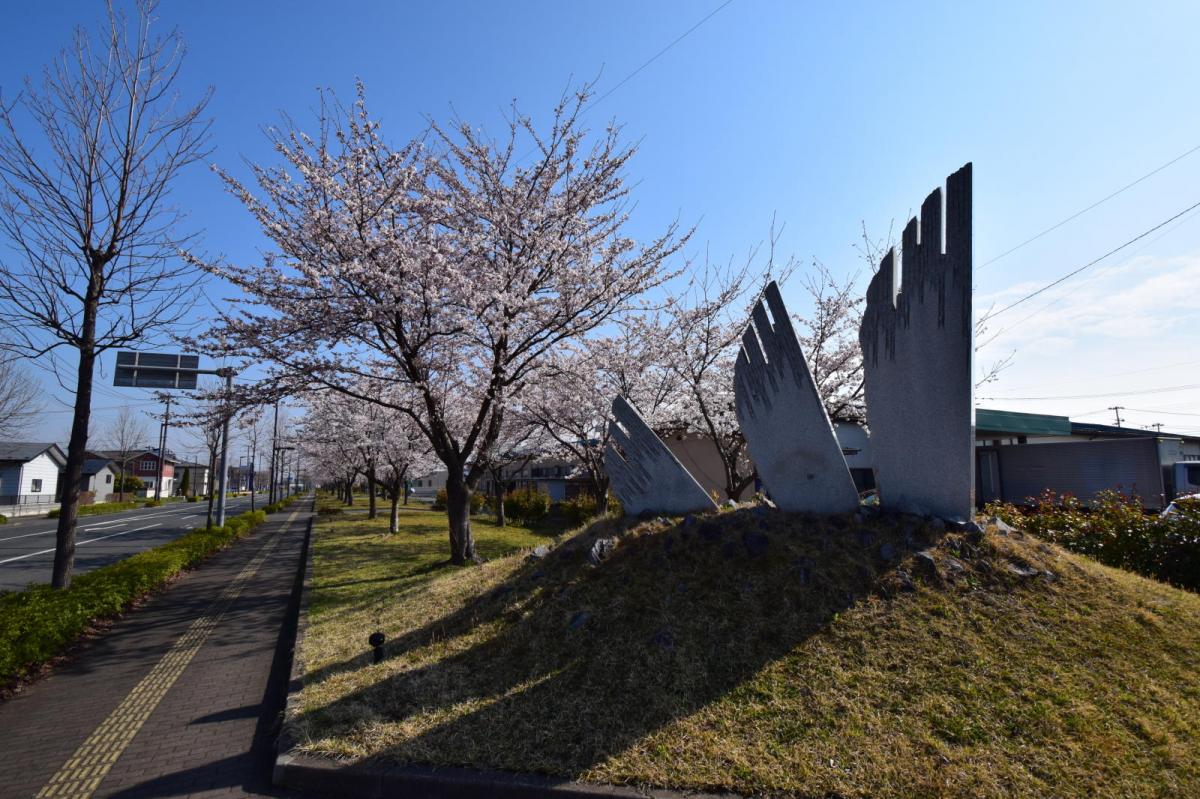 奥州市前沢アスティ商店会さくらのライトアップ 2019/04/19