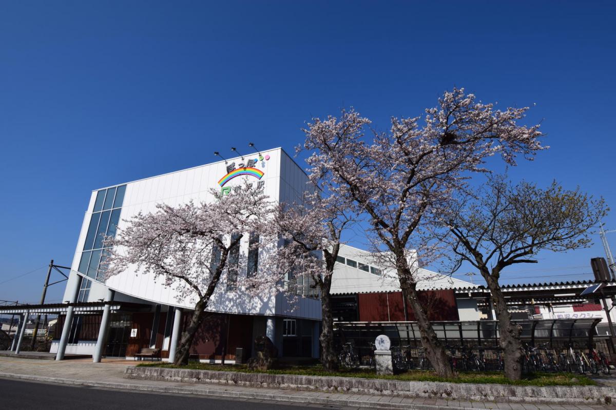 奥州市前沢アスティ商店会さくらのライトアップ 2019/04/19