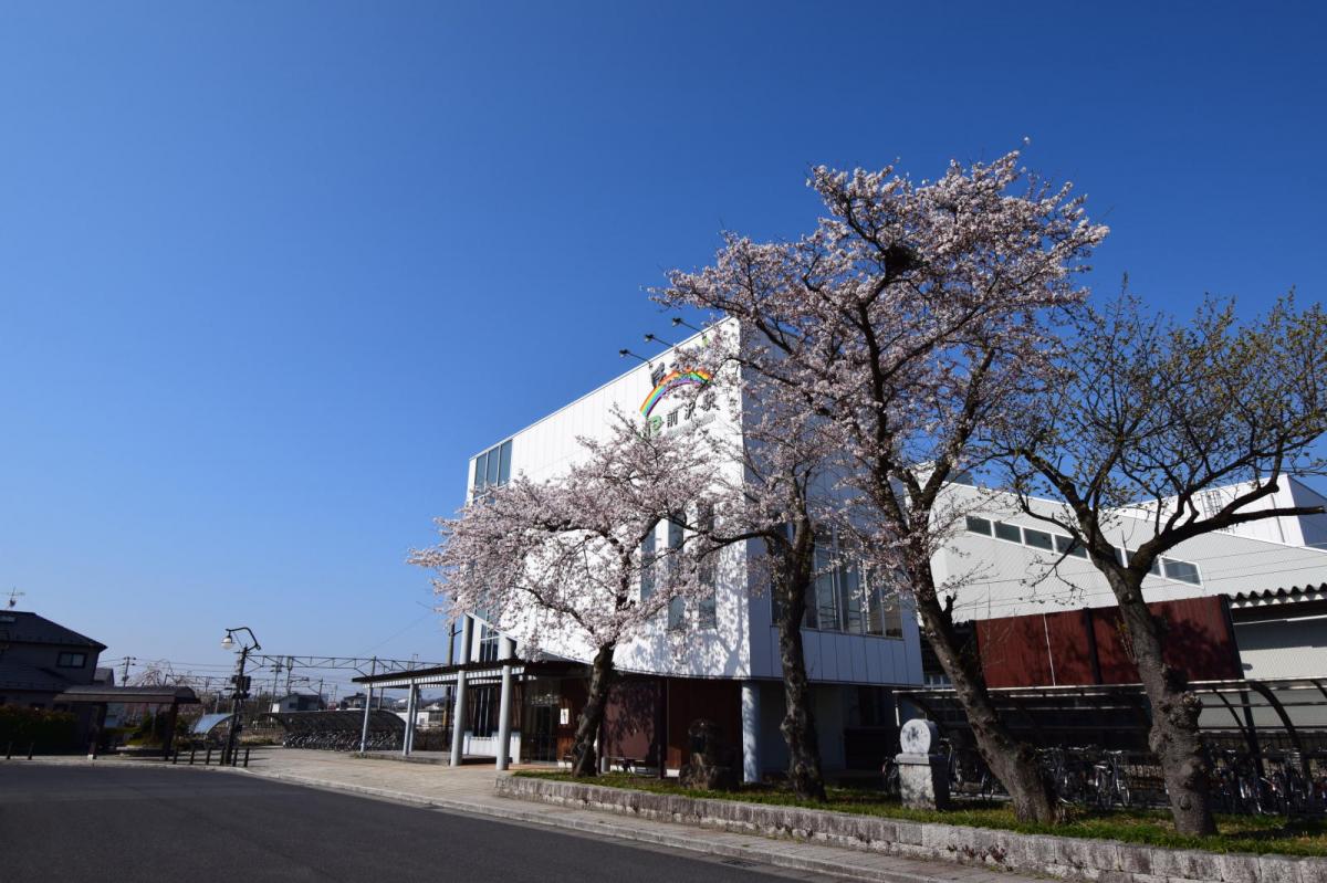 奥州市前沢アスティ商店会さくらのライトアップ 2019/04/19