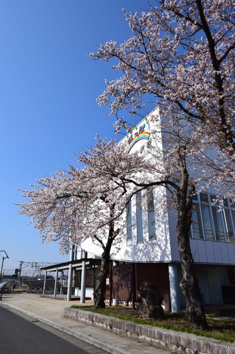 奥州市前沢アスティ商店会さくらのライトアップ 2019/04/19