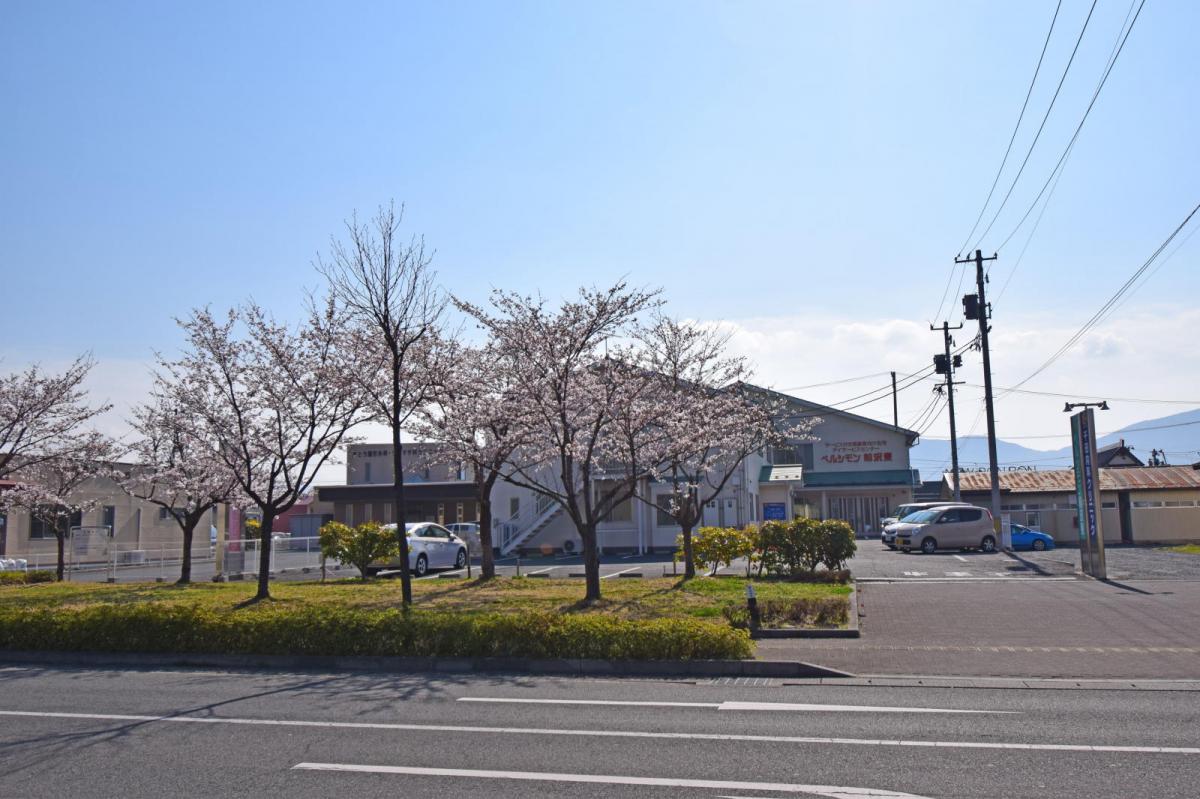 奥州市前沢アスティ商店会さくらのライトアップ 2019/04/19