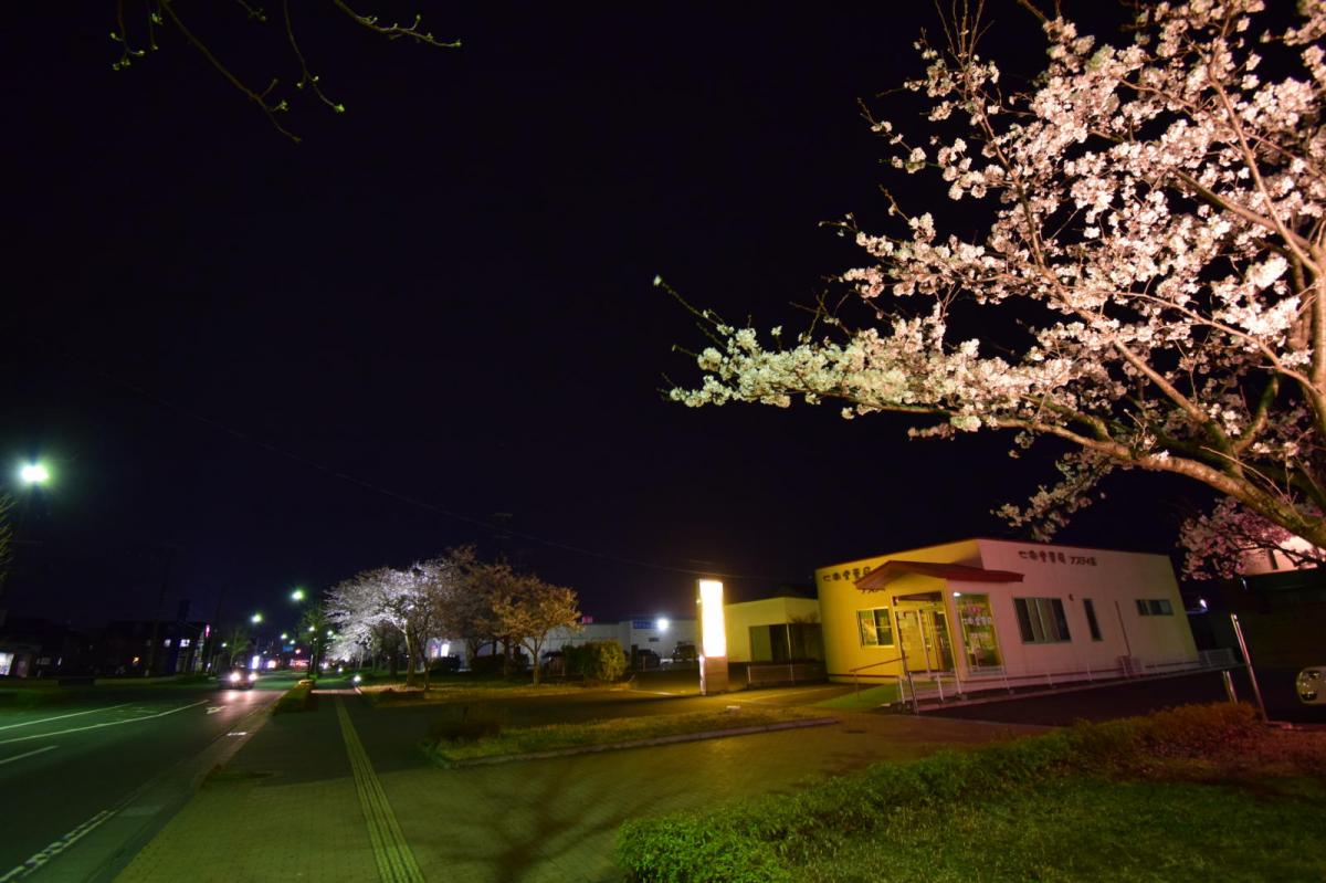 奥州市前沢アスティ商店会さくらのライトアップ 2019/04/19