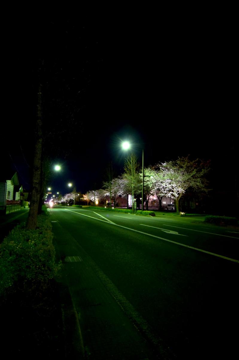 奥州市前沢アスティ商店会さくらのライトアップ 2019/04/19