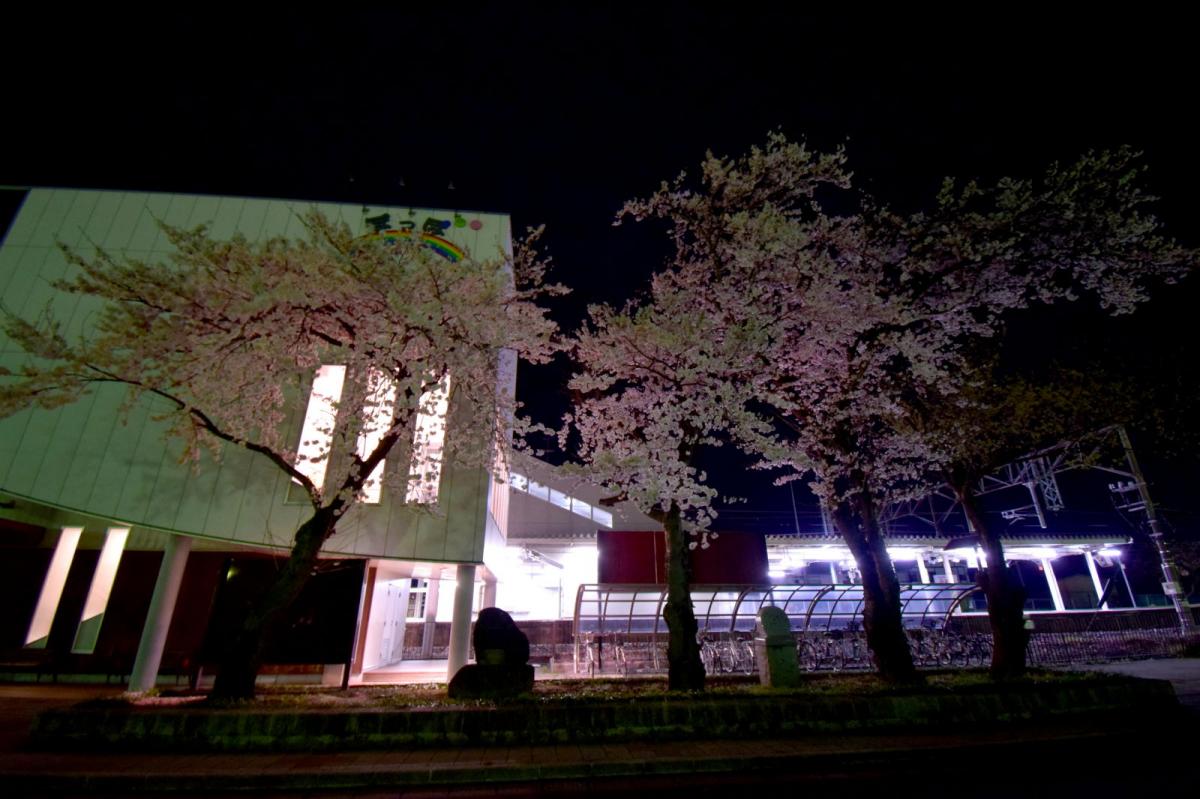 奥州市前沢アスティ商店会さくらのライトアップ 2019/04/19