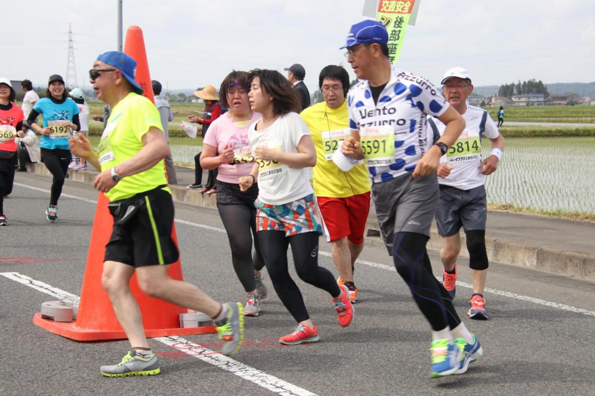 いわて奥州きらめきマラソン2019その3 給水(2)(15)・10km折返し編 2019/05/19
