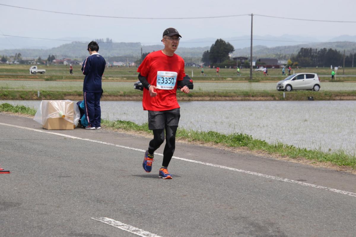いわて奥州きらめきマラソン2019その3 給水(2)(15)・10km折返し編 2019/05/19