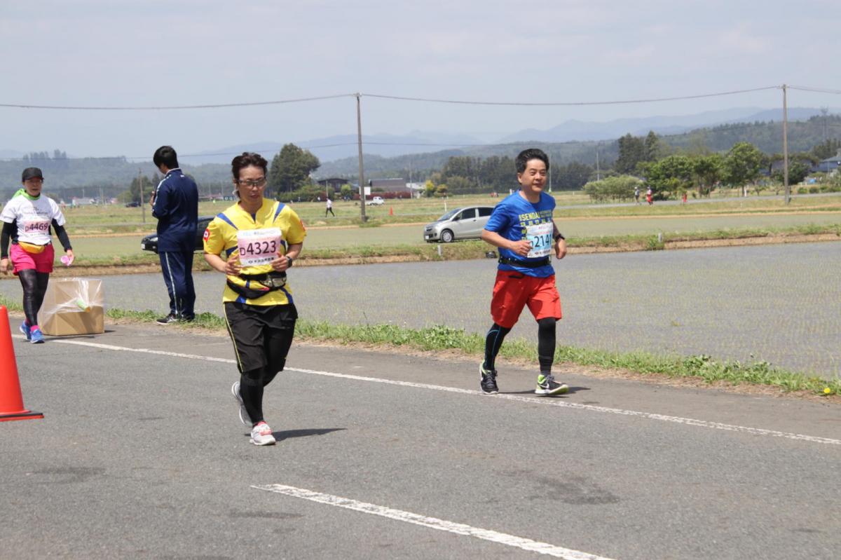 いわて奥州きらめきマラソン2019その3 給水(2)(15)・10km折返し編 2019/05/19