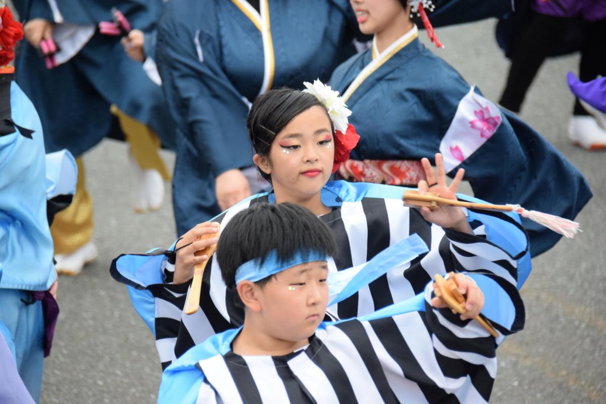 奥州前沢よさこいFesta15その1（奥州前沢よさこいフェスタ2019) 2019/07/14