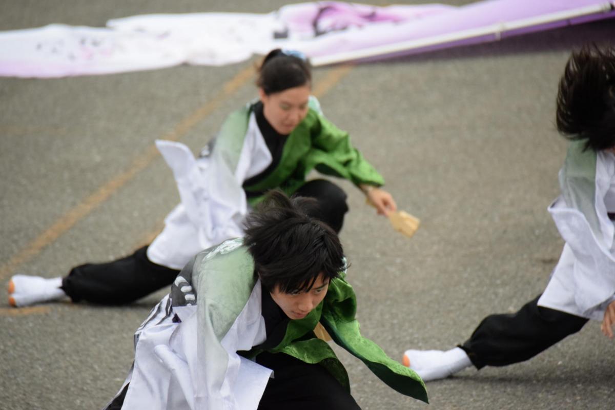 奥州前沢よさこいFesta15その1（奥州前沢よさこいフェスタ2019) 2019/07/14