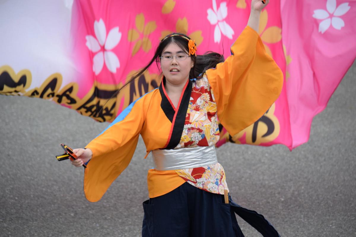 奥州前沢よさこいFesta15その1（奥州前沢よさこいフェスタ2019) 2019/07/14