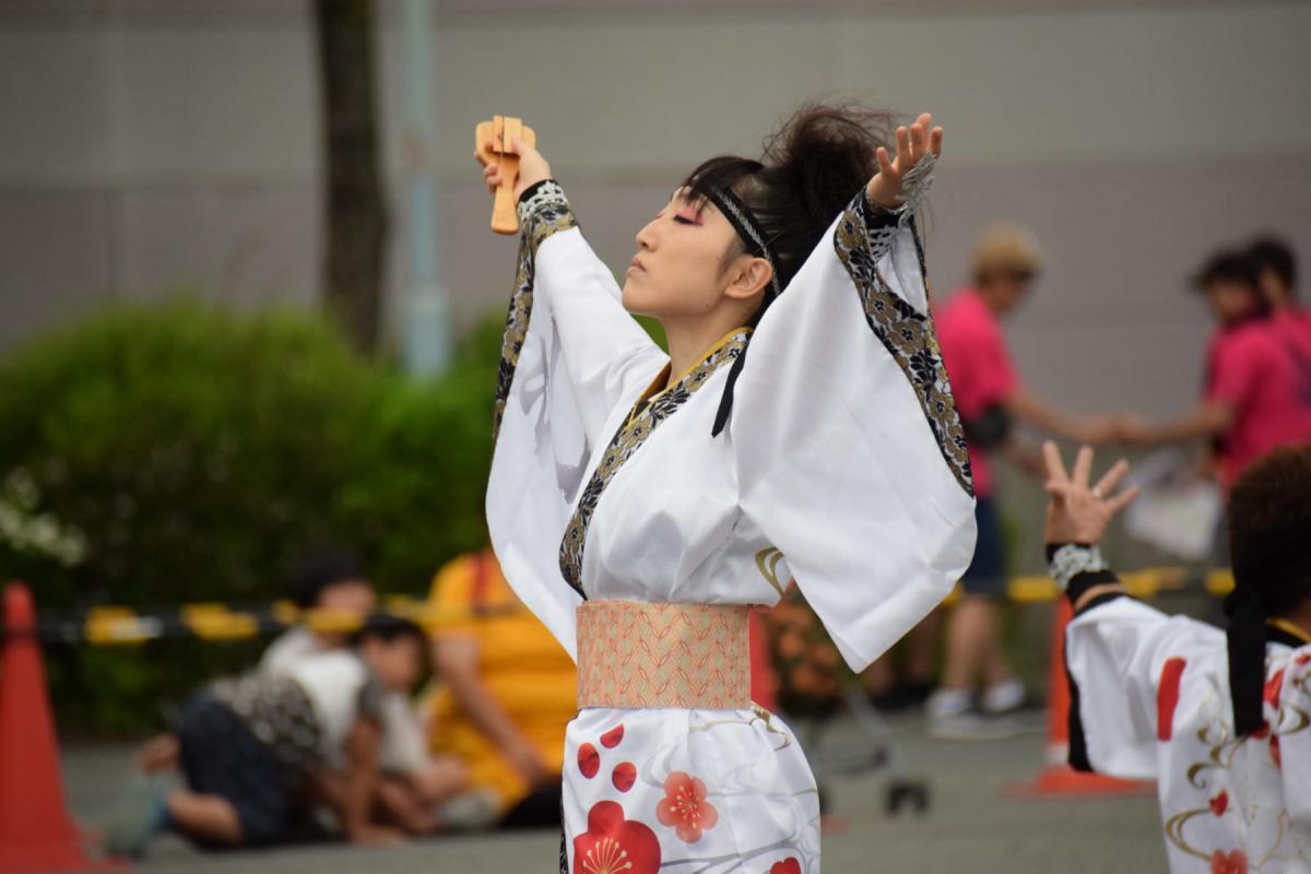 奥州前沢よさこいFesta15その1（奥州前沢よさこいフェスタ2019) 2019/07/14