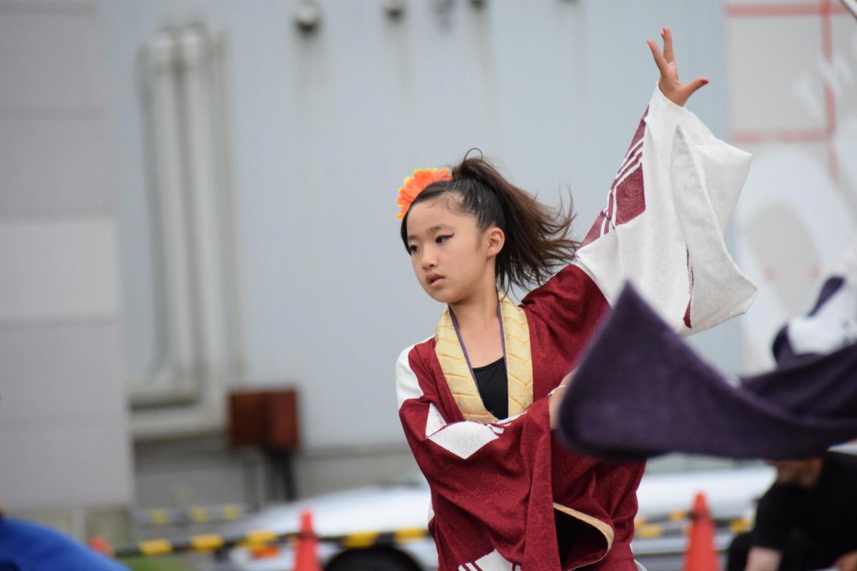 奥州前沢よさこいFesta15その1（奥州前沢よさこいフェスタ2019) 2019/07/14