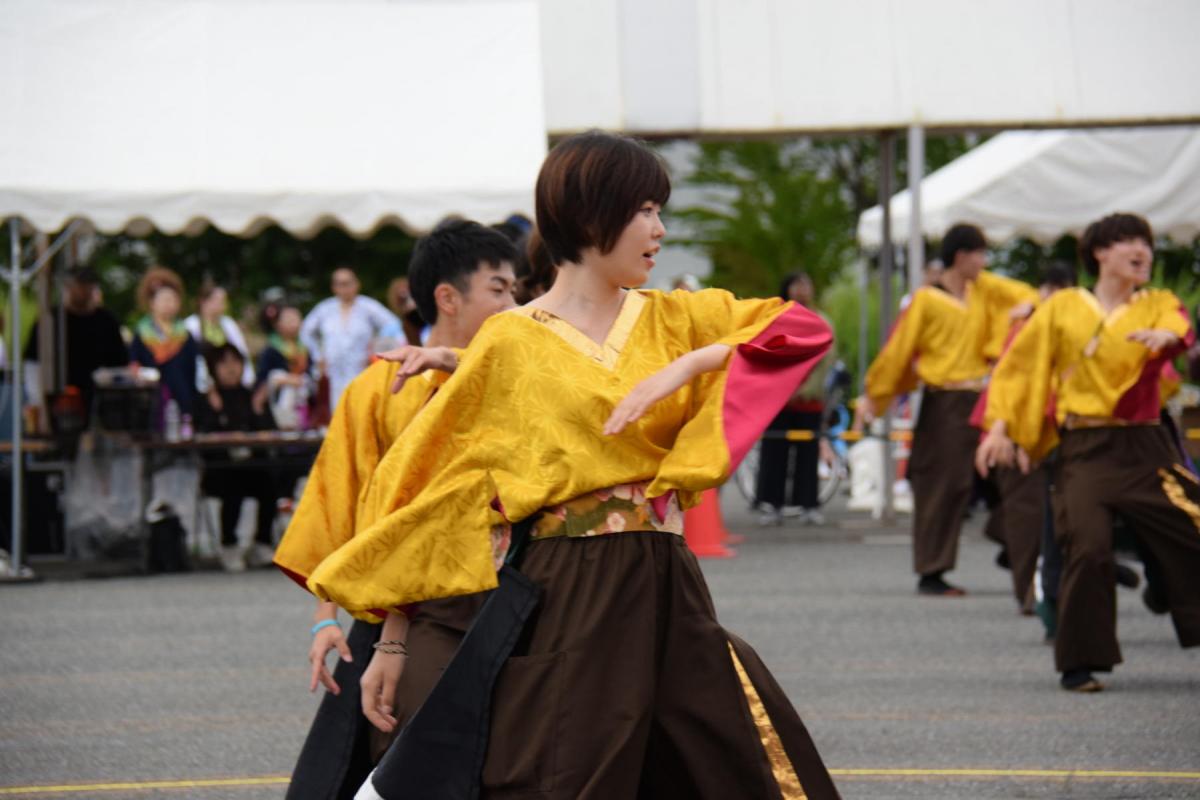 奥州前沢よさこいFesta15その1（奥州前沢よさこいフェスタ2019) 2019/07/14