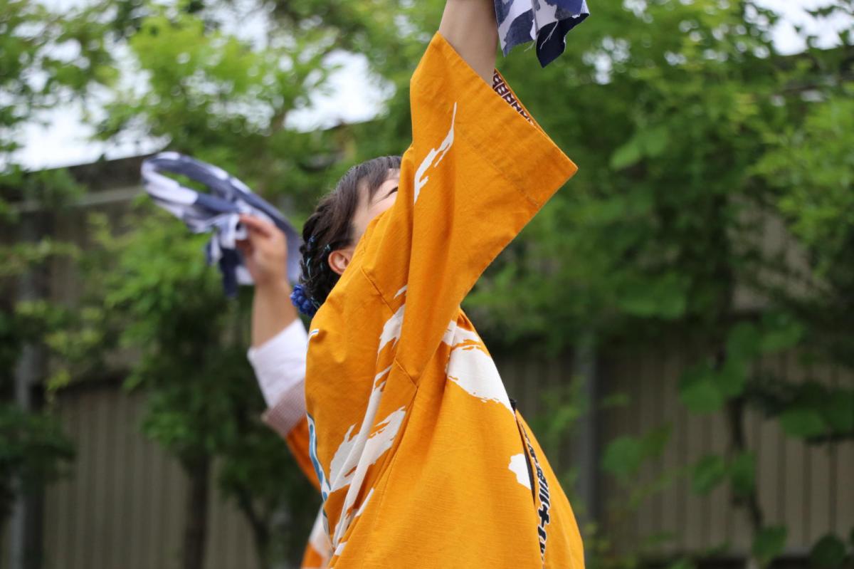 奥州前沢よさこいFesta15その2（奥州前沢よさこいフェスタ2019) 2019/07/14