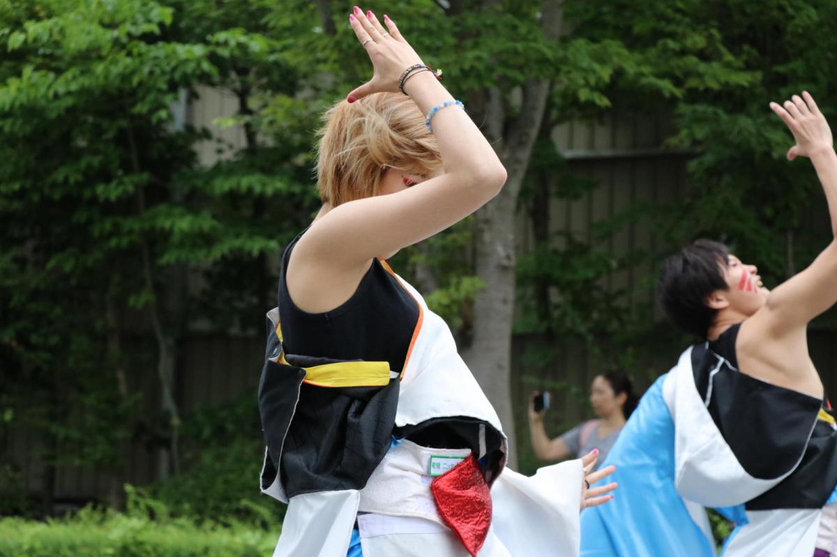 奥州前沢よさこいFesta15その2（奥州前沢よさこいフェスタ2019) 2019/07/14