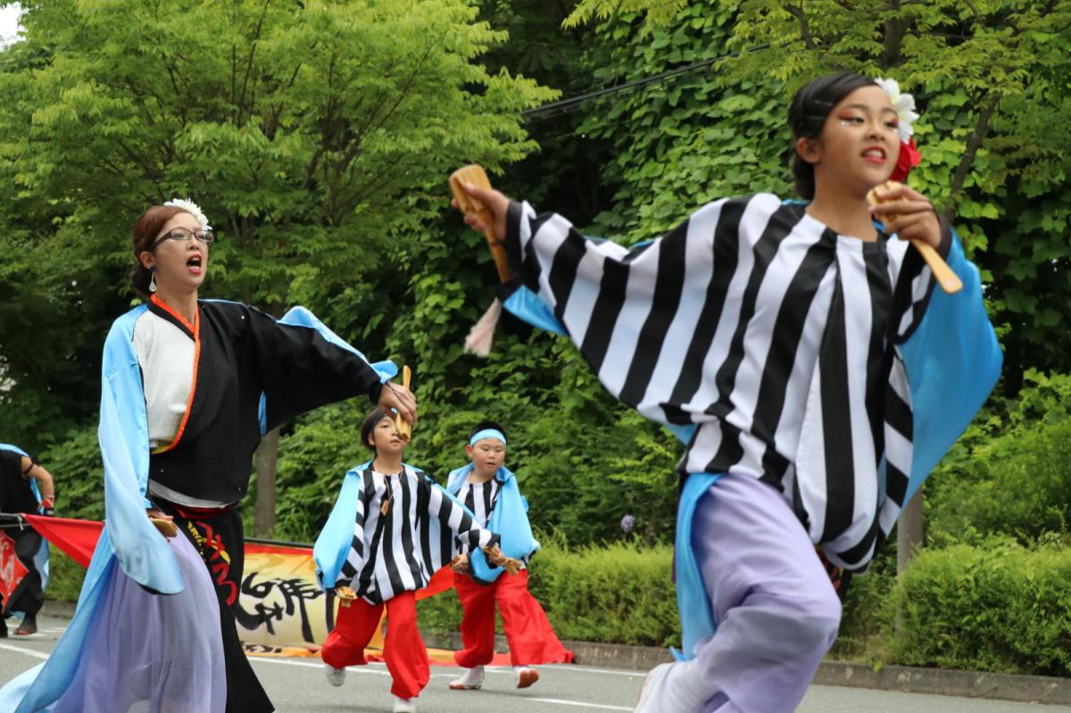 奥州前沢よさこいFesta15その2（奥州前沢よさこいフェスタ2019) 2019/07/14