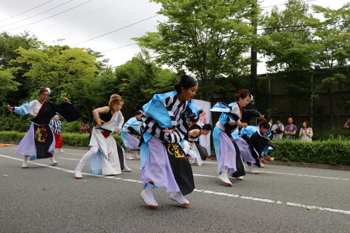 奥州前沢よさこいFesta15その2（奥州前沢よさこいフェスタ2019) 2019/07/14