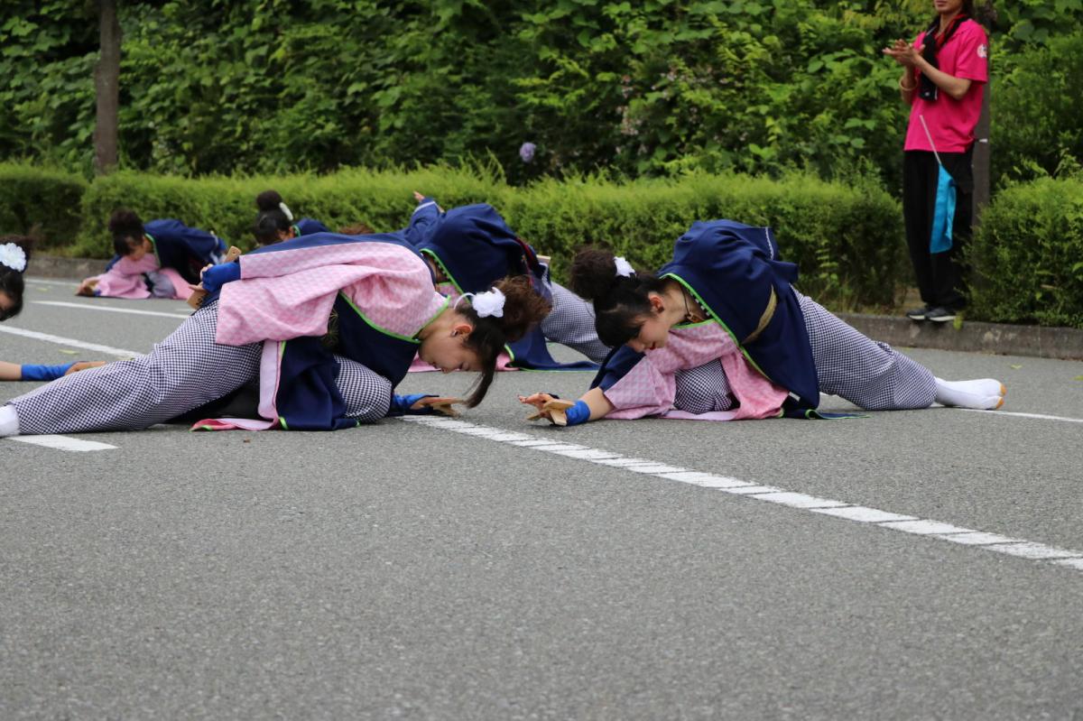 奥州前沢よさこいFesta15その2（奥州前沢よさこいフェスタ2019) 2019/07/14