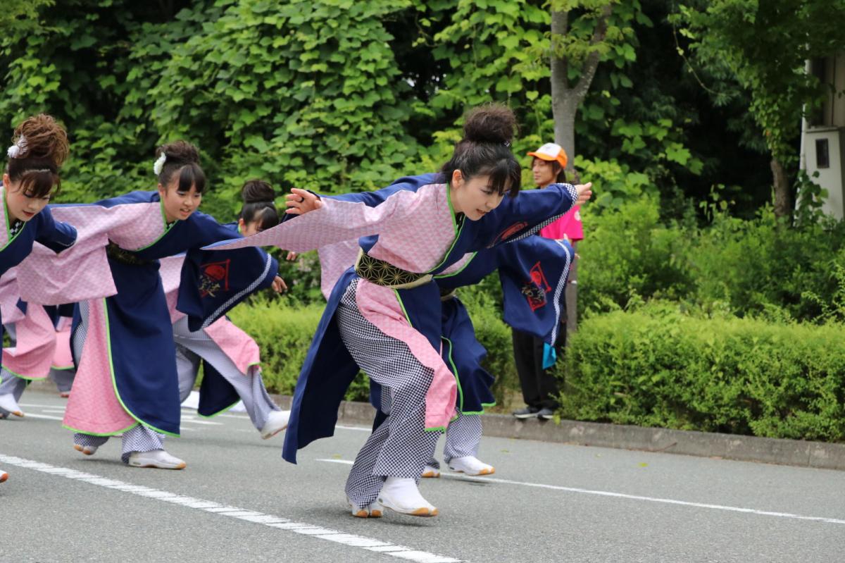 奥州前沢よさこいFesta15その2（奥州前沢よさこいフェスタ2019) 2019/07/14